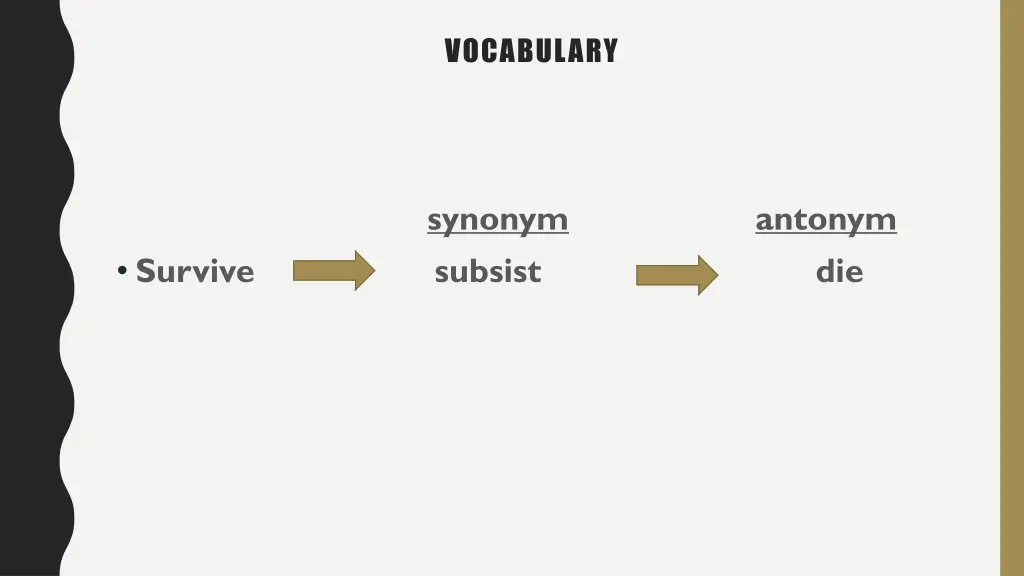 vocabulary 6