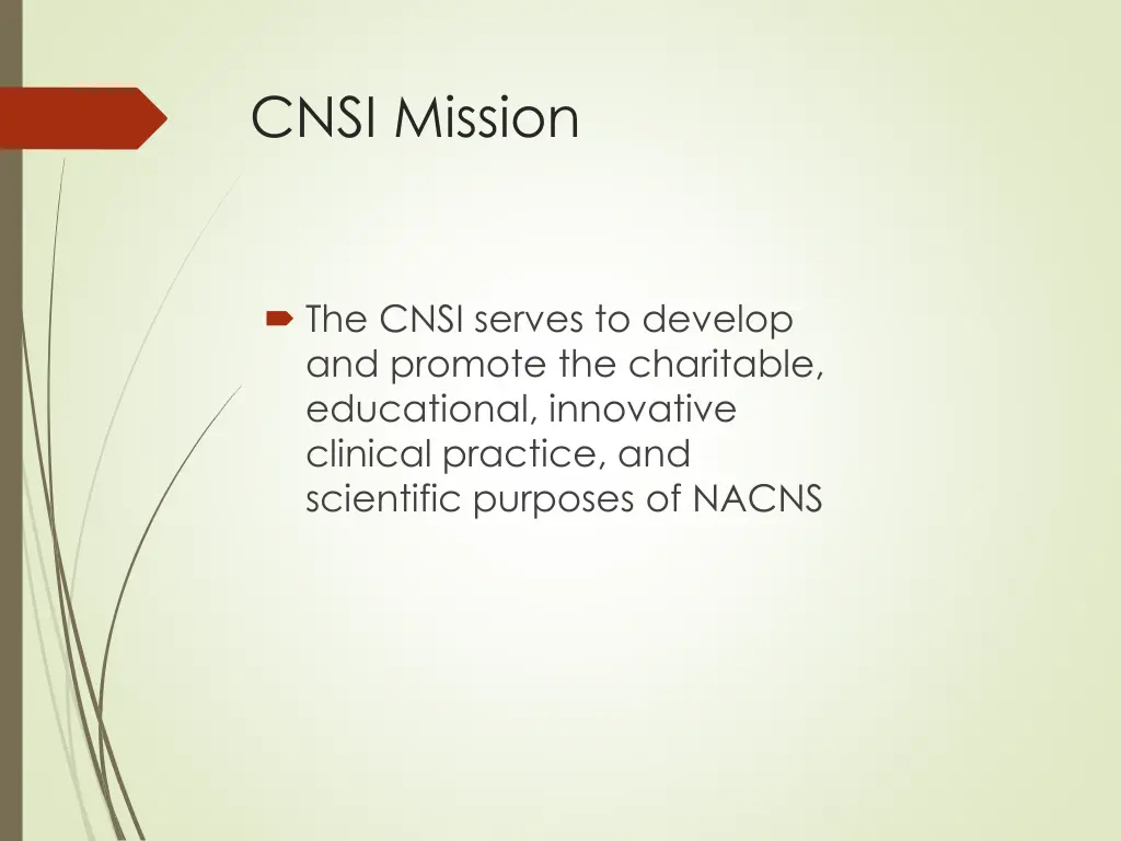 cnsi mission