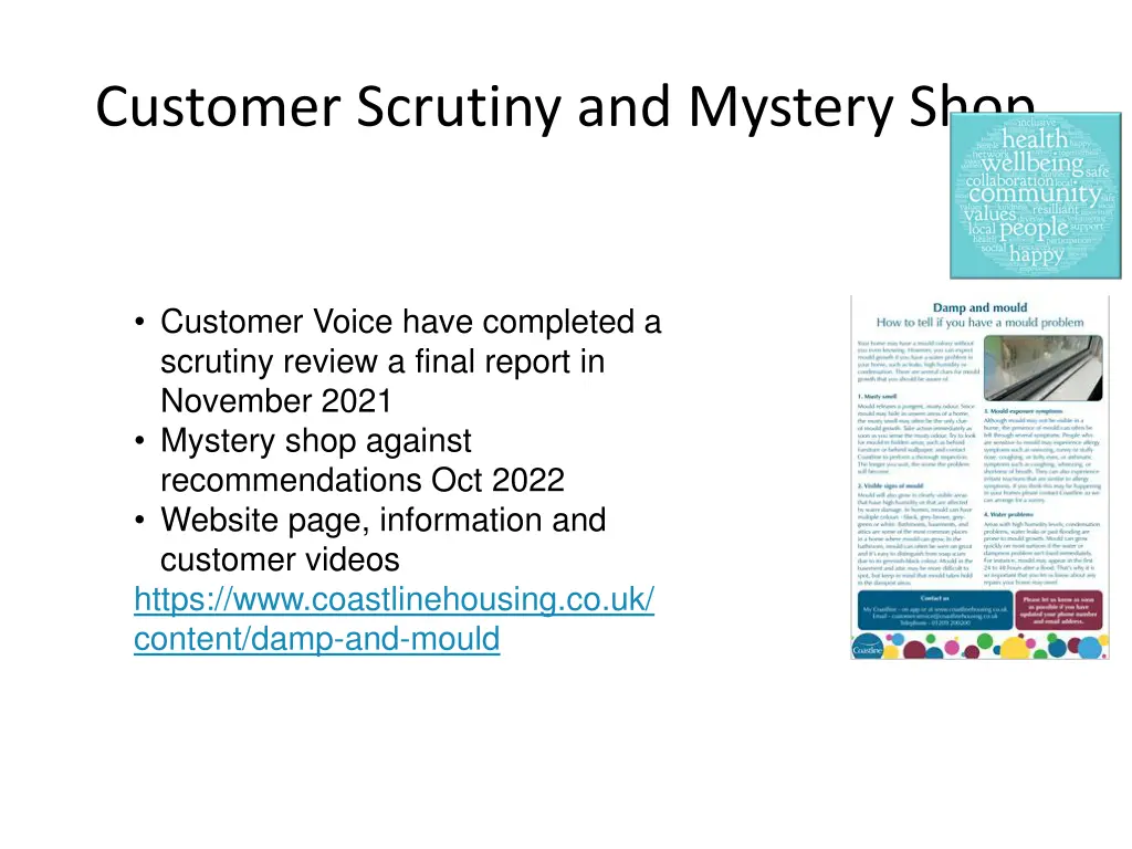 customer scrutiny and mystery shop