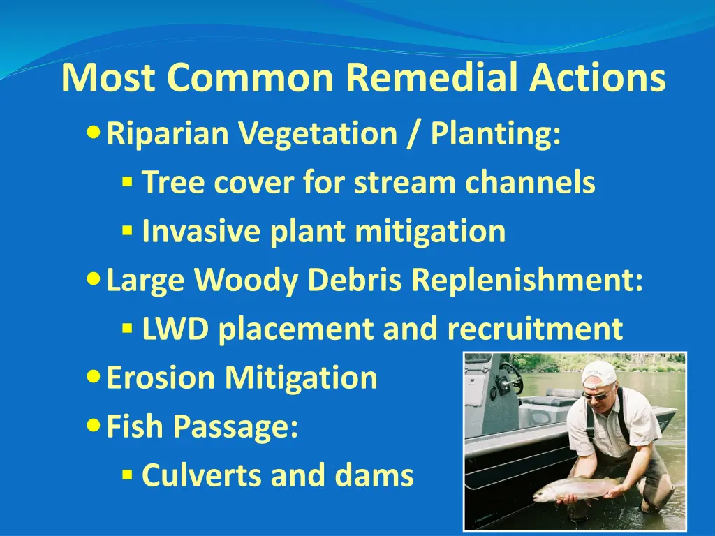 most common remedial actions riparian vegetation