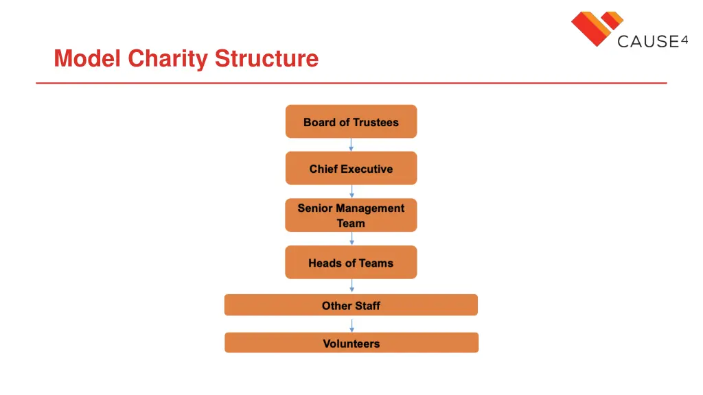 model charity structure