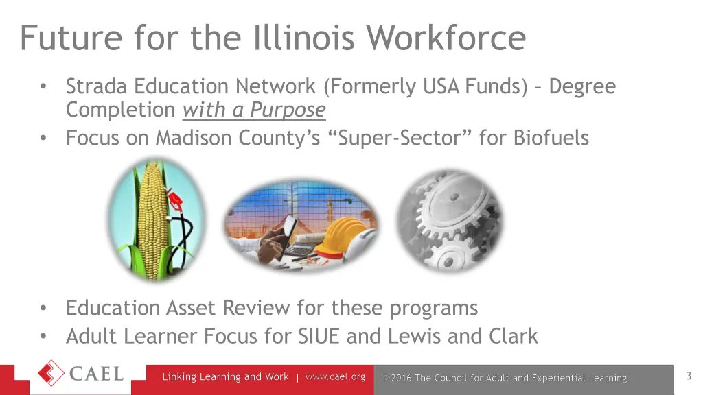 future for the illinois workforce