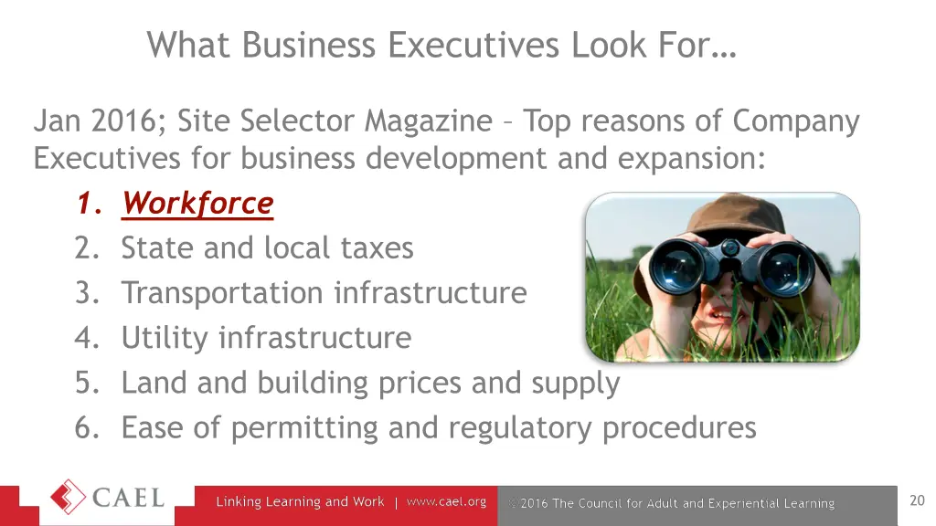 what business executives look for
