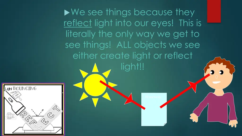 we see things because they reflect light into