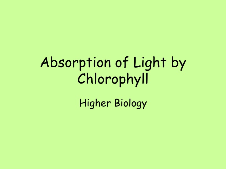 absorption of light by chlorophyll