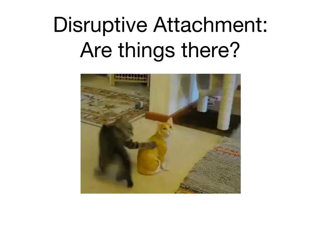 disruptive attachment are things there