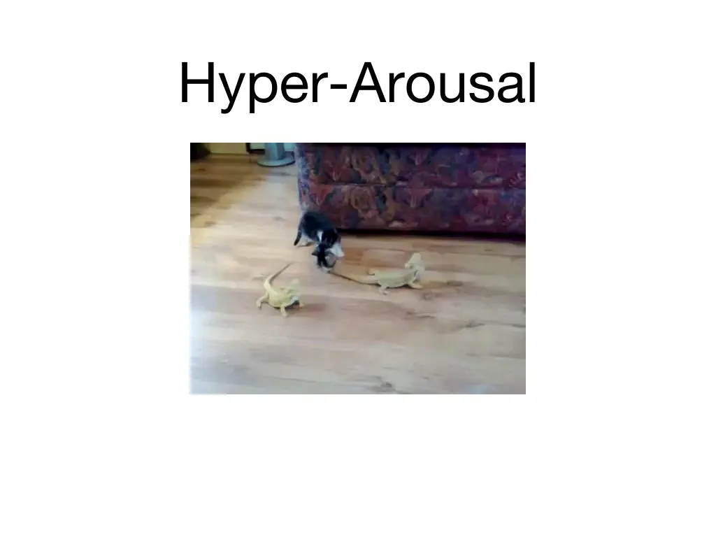 hyper arousal