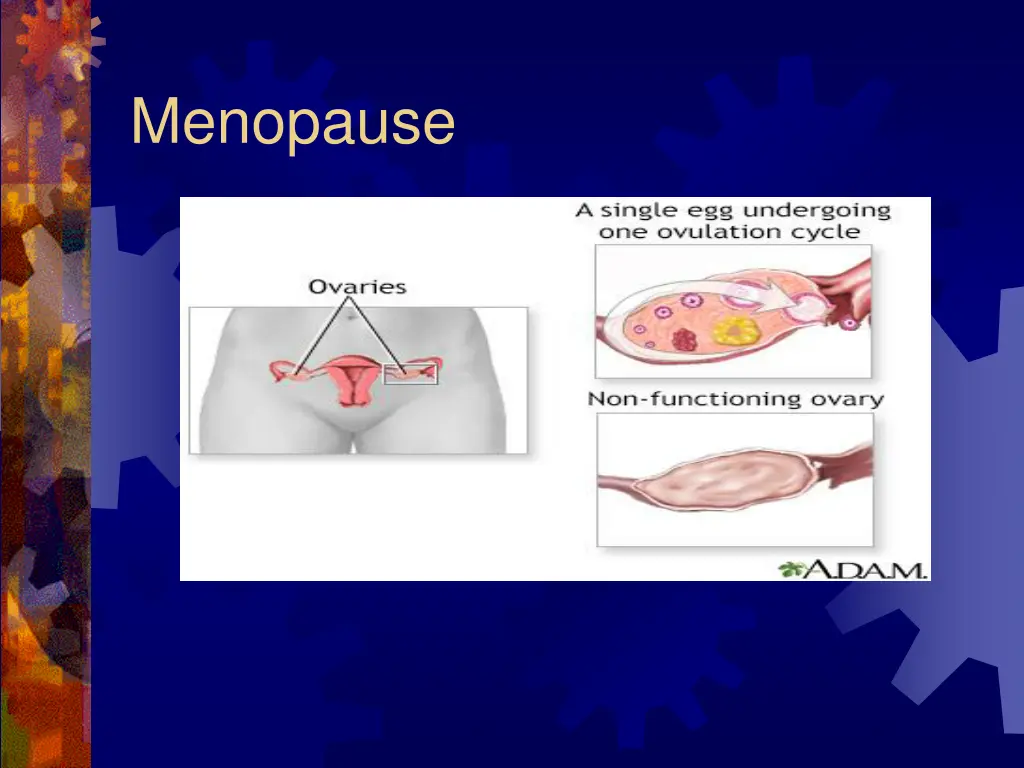 menopause 1