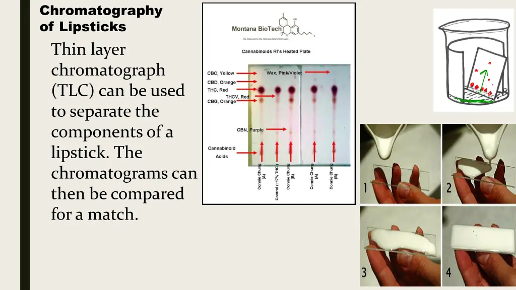 chromatography of lipsticks thin layer