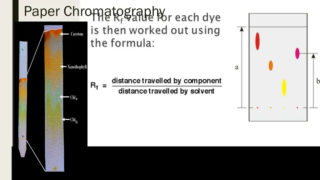 paper chromatography