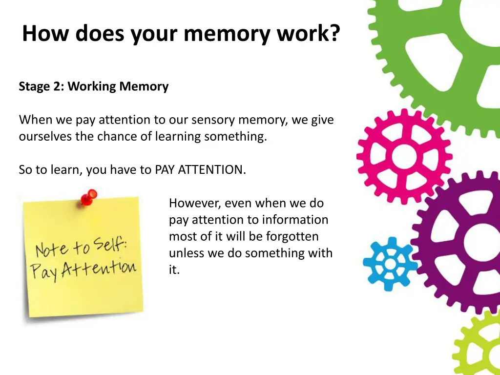 how does your memory work 1