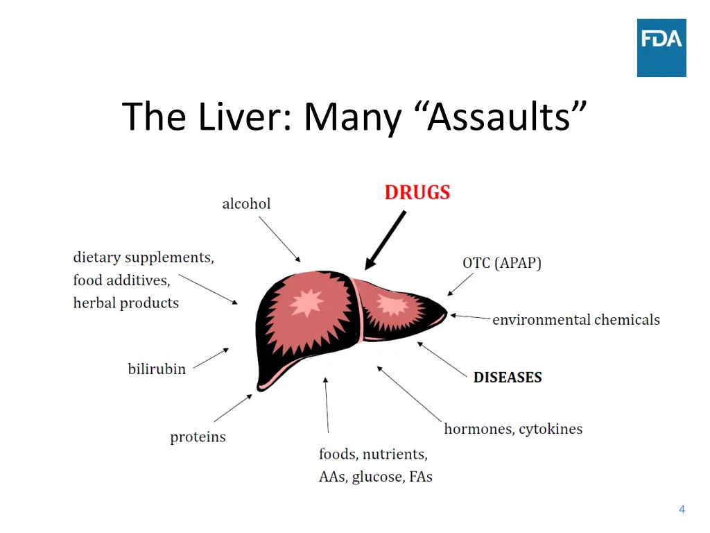 the liver many assaults