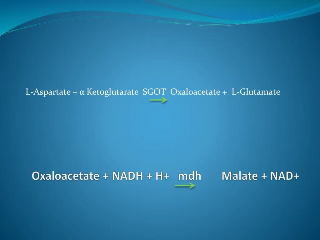 l aspartate ketoglutarate sgot oxaloacetate