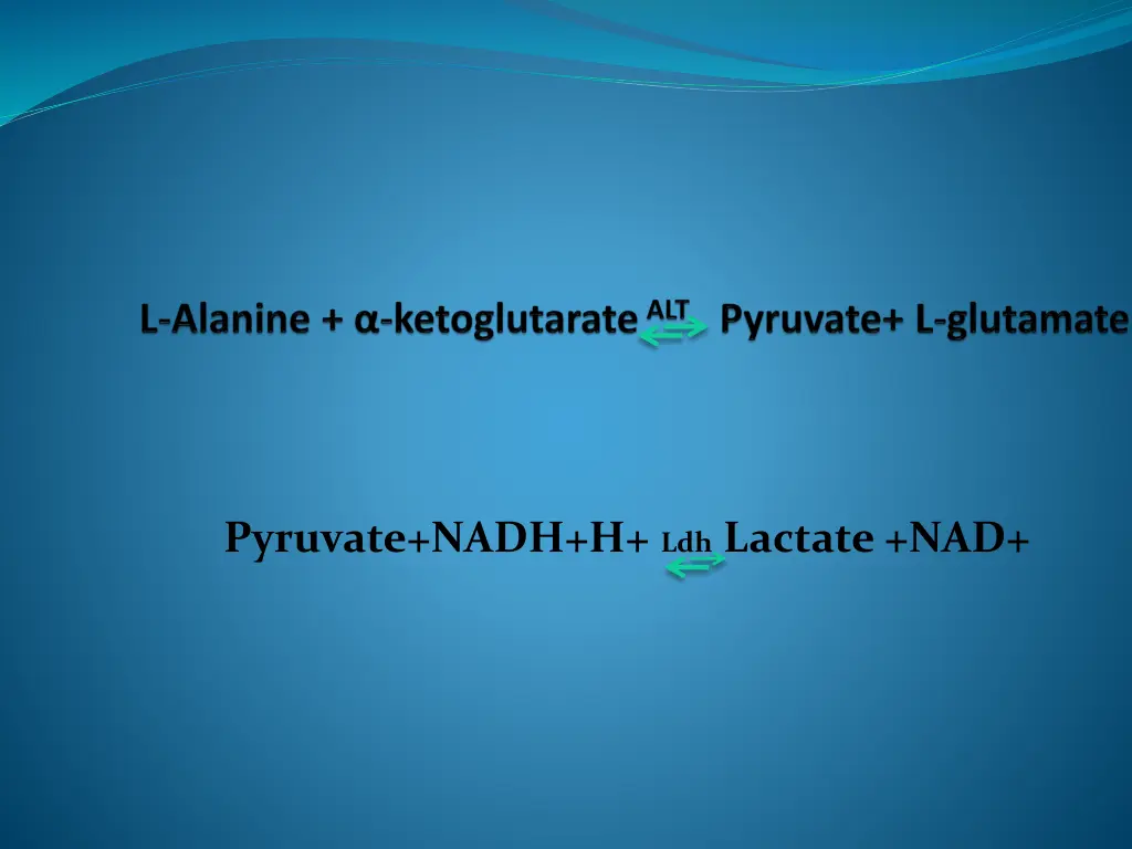 pyruvate nadh h ldh lactate nad