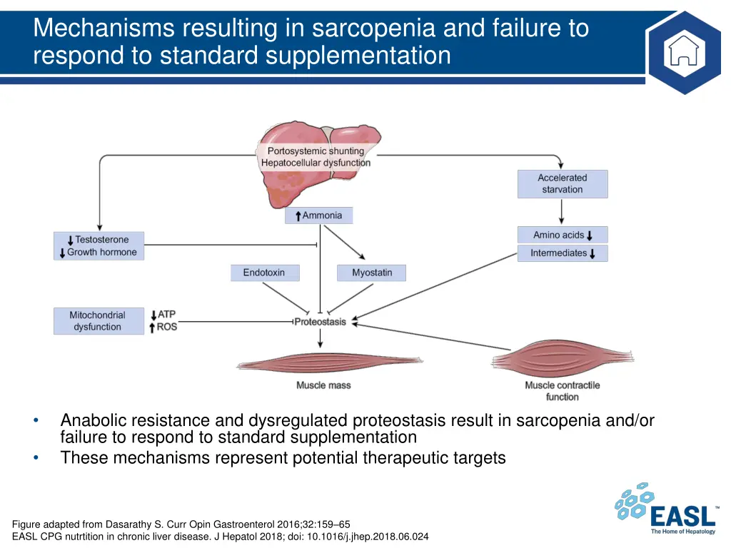 mechanisms resulting in sarcopenia and failure