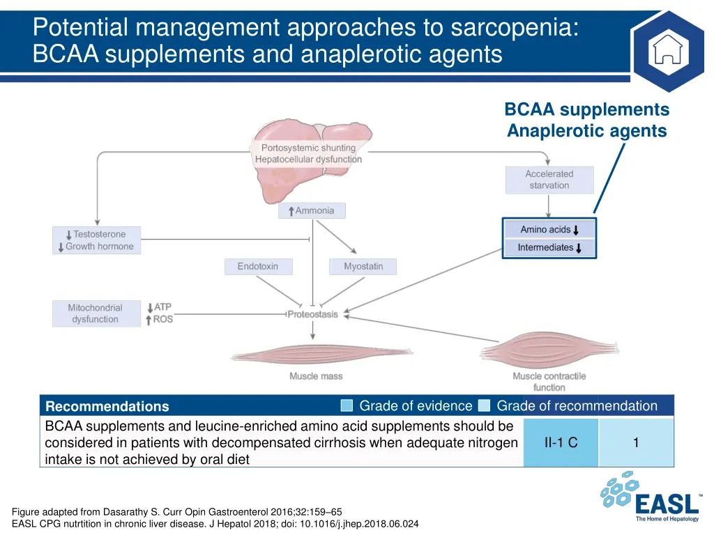 potential management approaches to sarcopenia 1