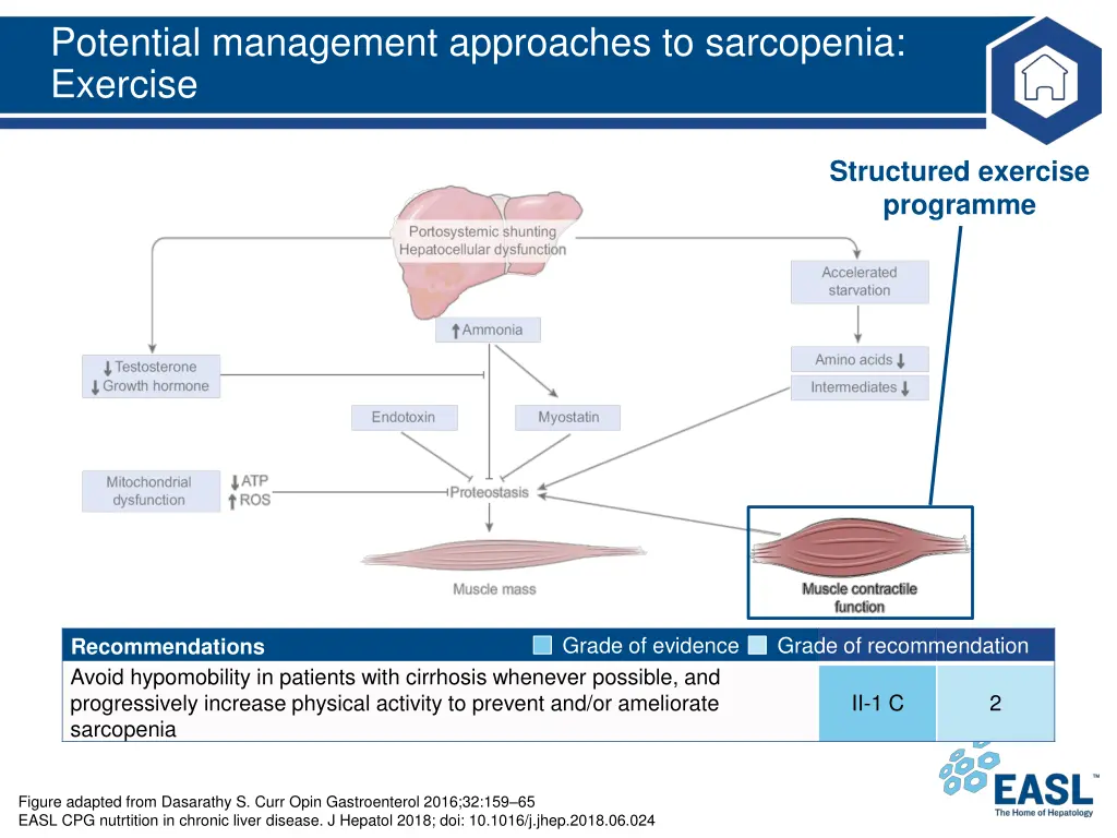 potential management approaches to sarcopenia 2