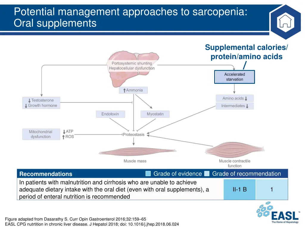 potential management approaches to sarcopenia