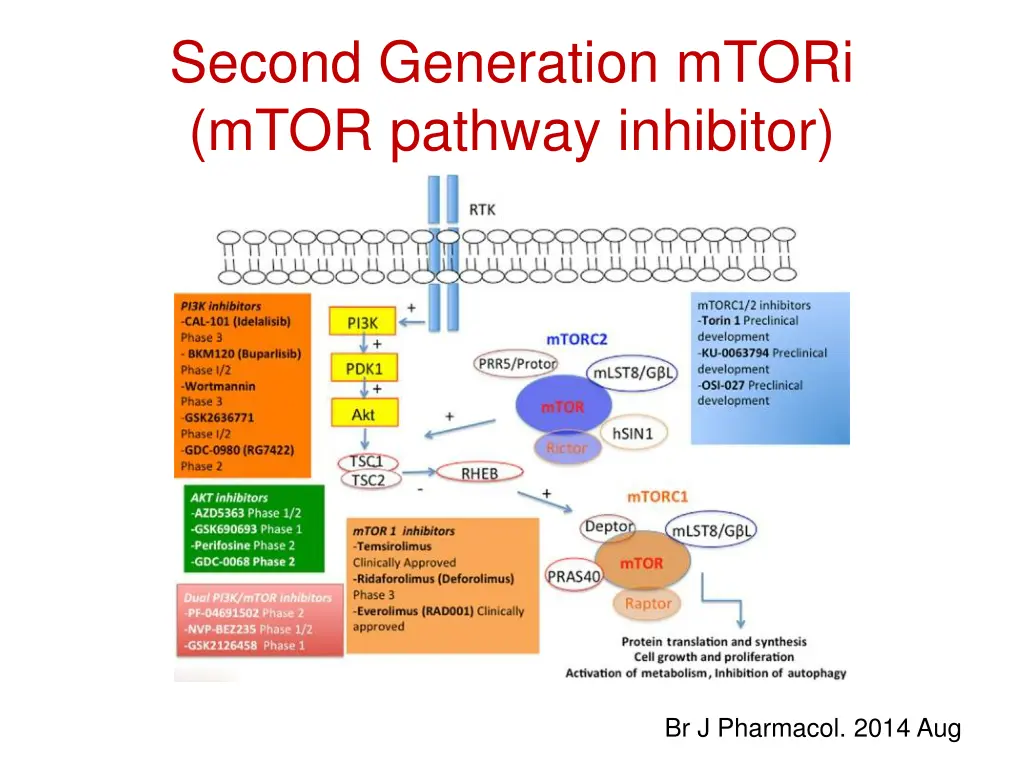 second generation mtori mtor pathway inhibitor