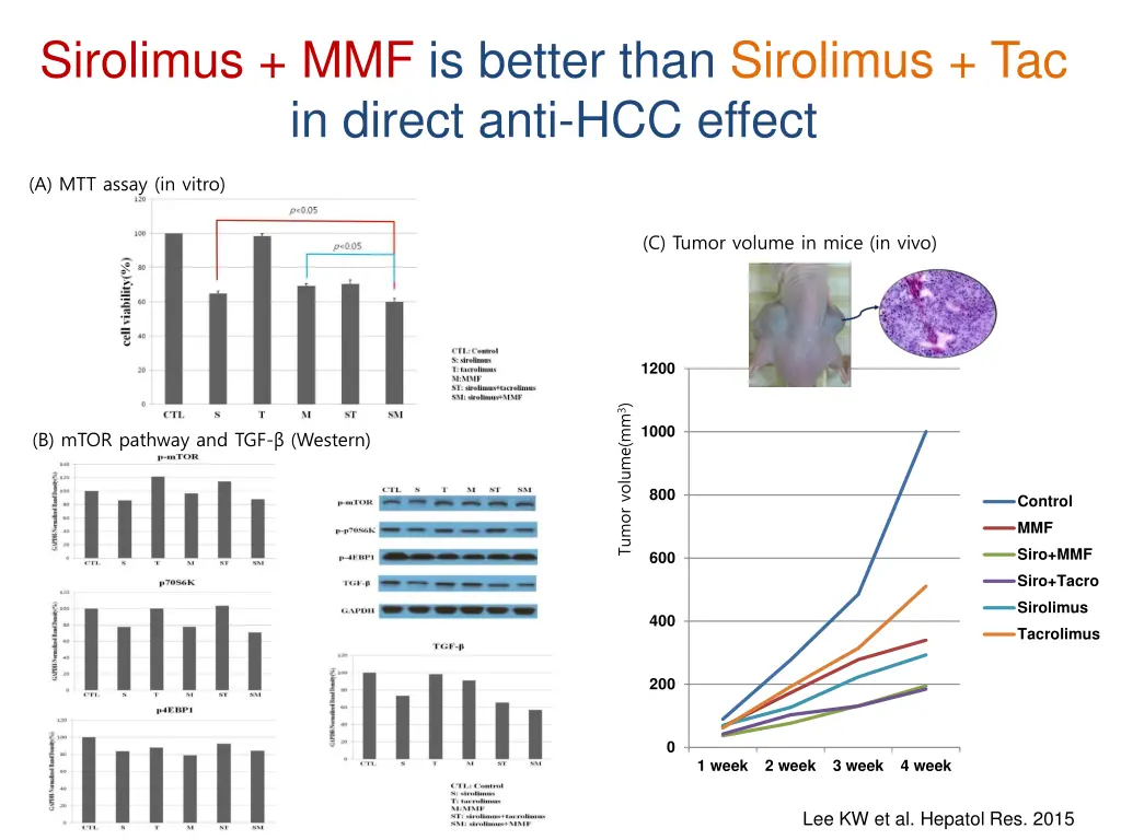 sirolimus mmf is better than sirolimus