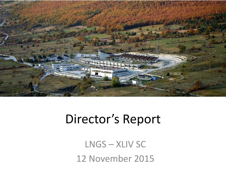 director s report