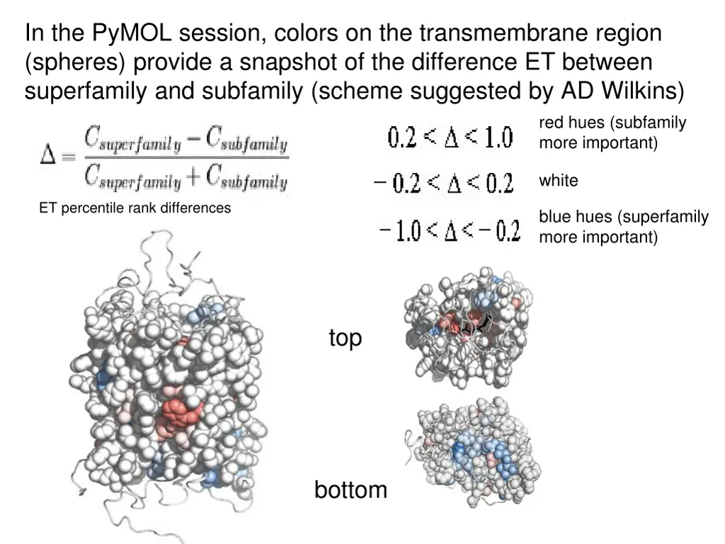 in the pymol session colors on the transmembrane