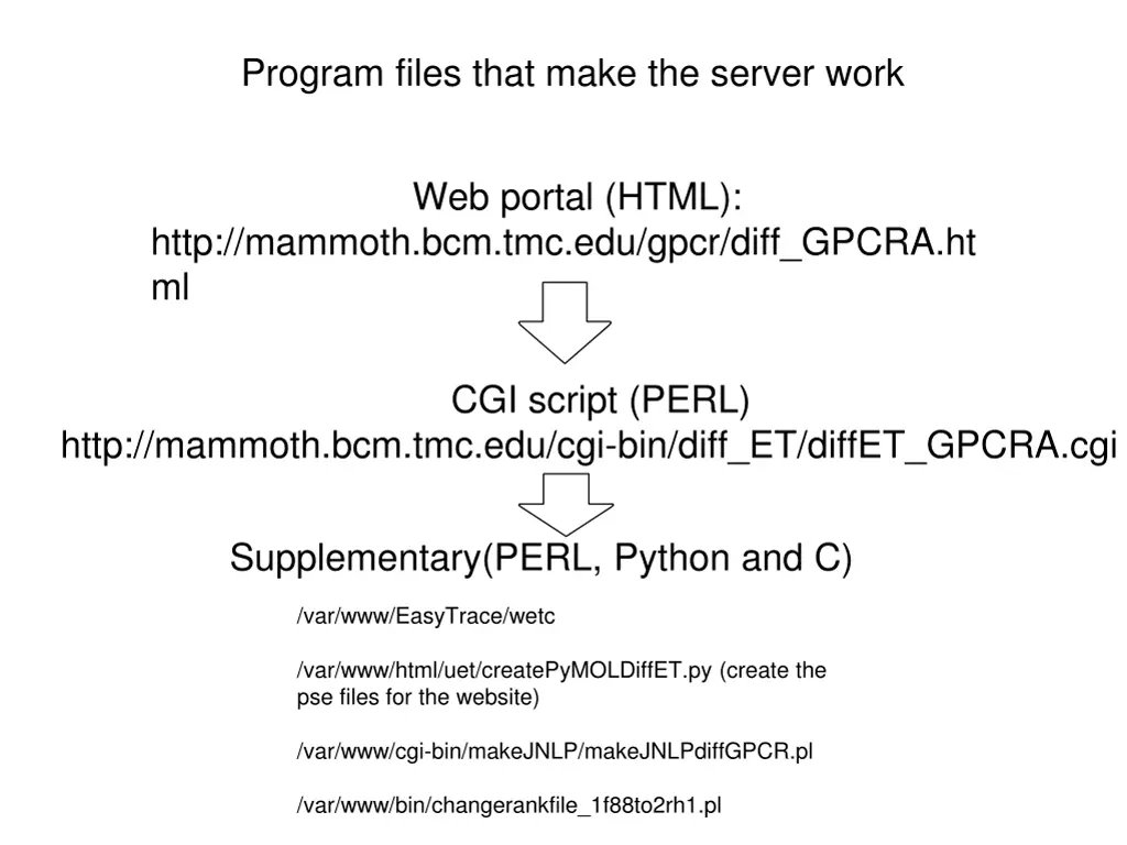 program files that make the server work