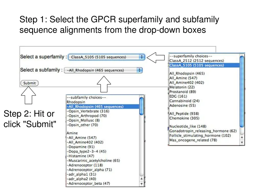 step 1 select the gpcr superfamily and subfamily