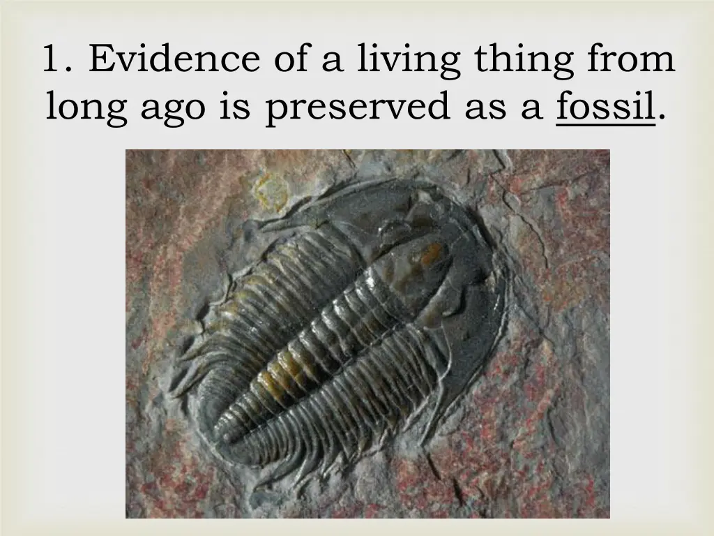 1 evidence of a living thing from long