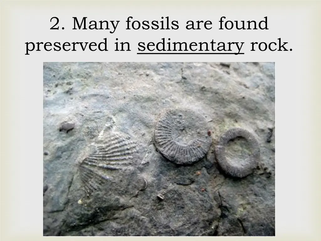 2 many fossils are found preserved in sedimentary