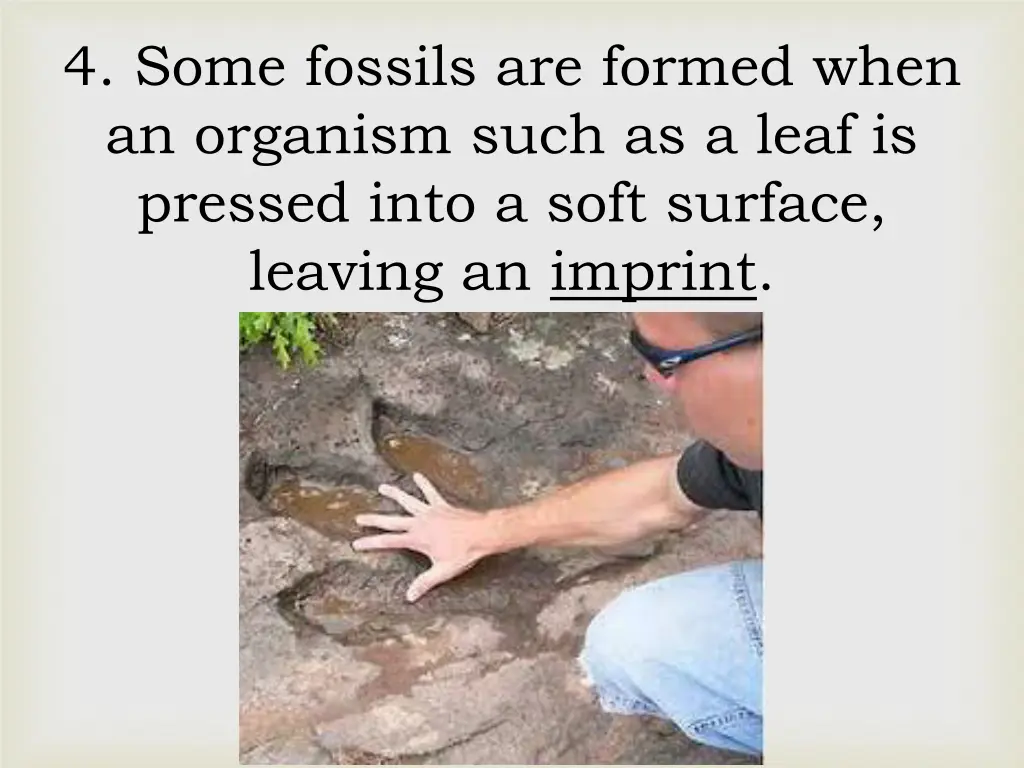 4 some fossils are formed when an organism such