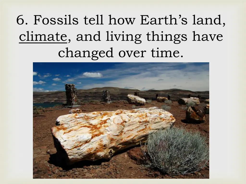 6 fossils tell how earth s land climate