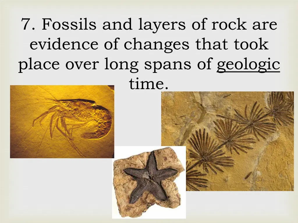 7 fossils and layers of rock are evidence