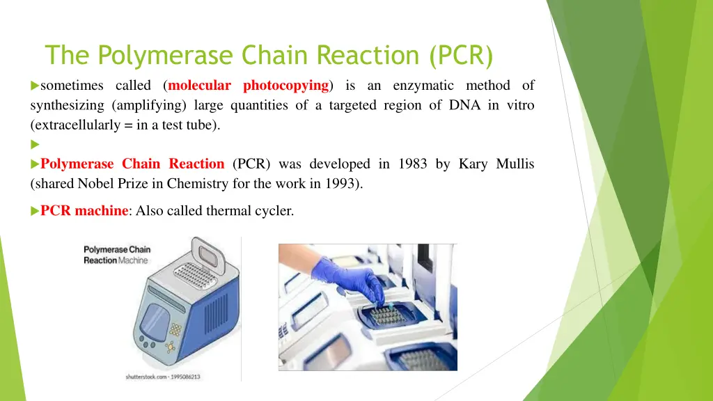 the polymerase chain reaction pcr sometimes