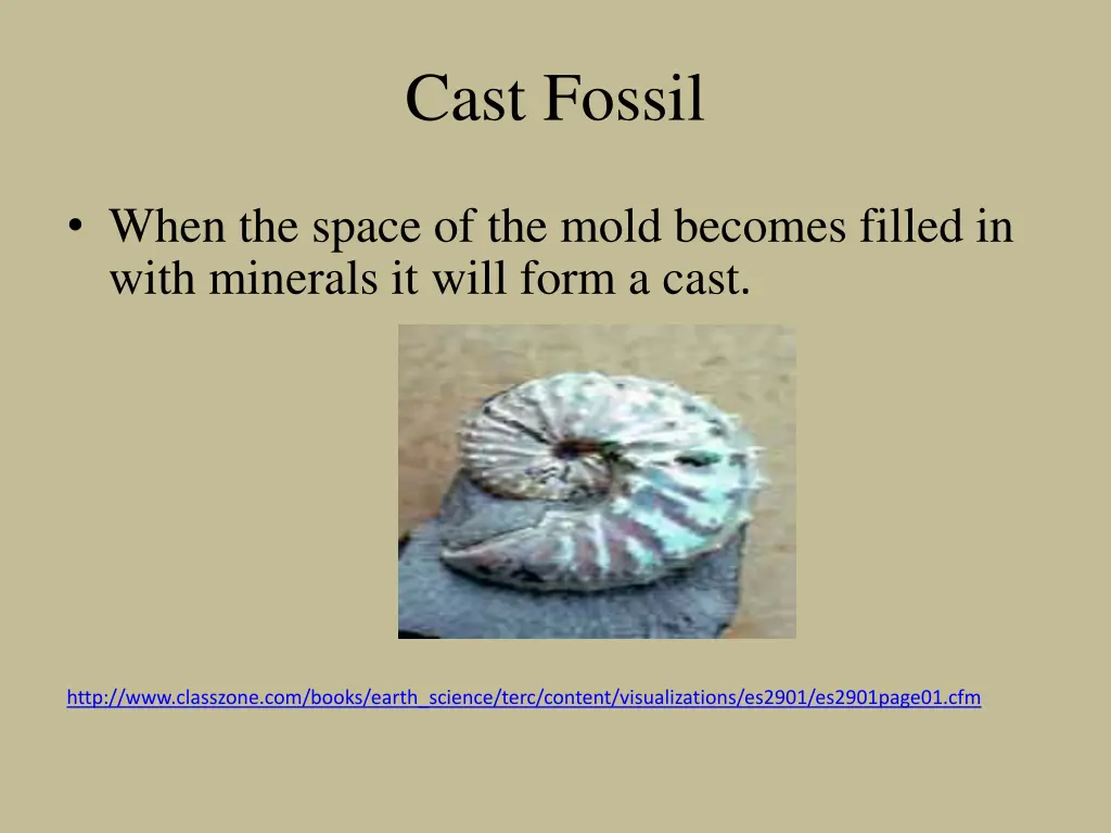 cast fossil