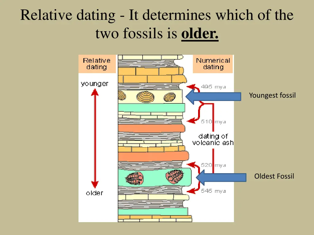 relative dating it determines which