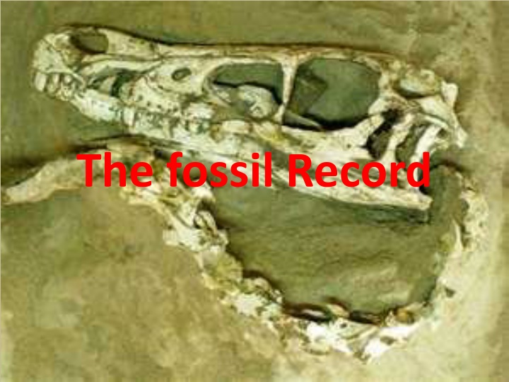 the fossil record