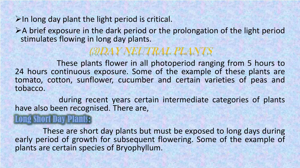 in long day plant the light period is critical