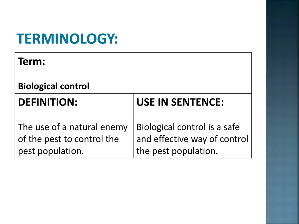 terminology 4