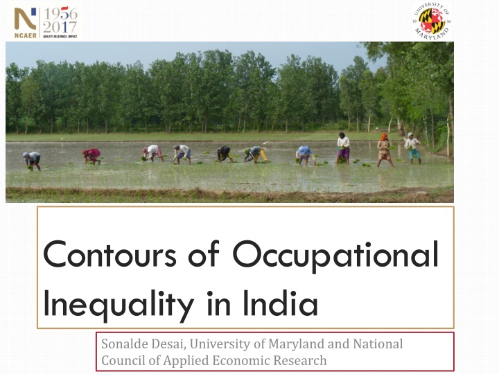 contours of occupational inequality in india