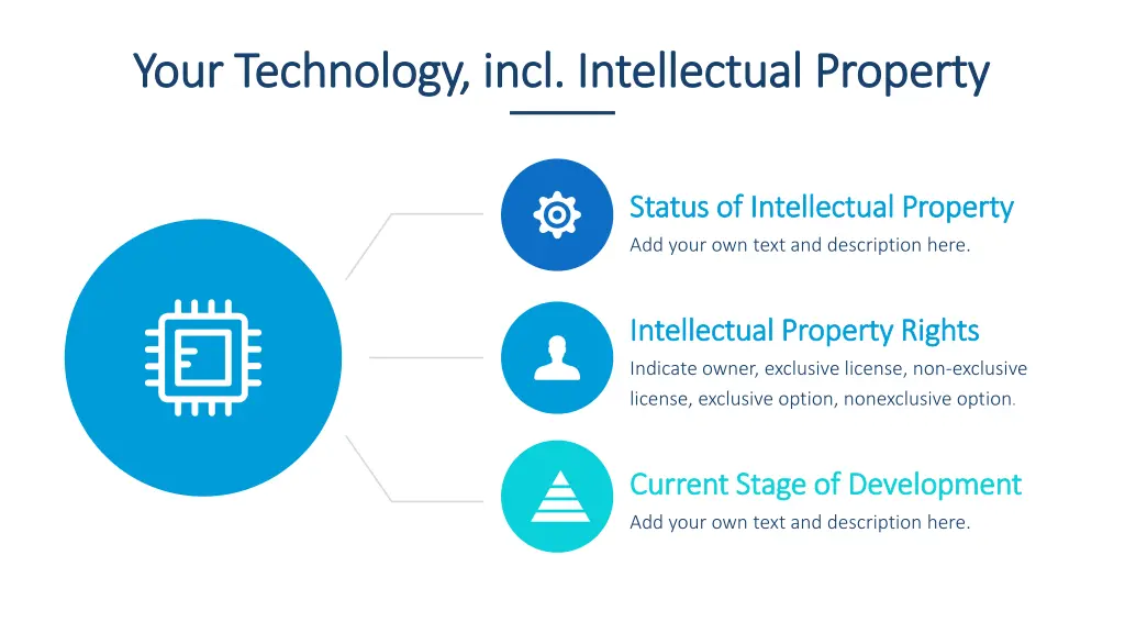 your technology incl intellectual property your