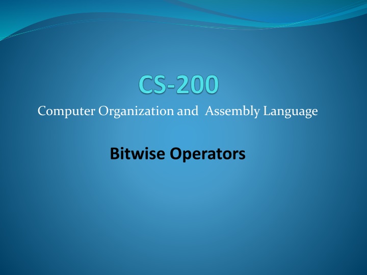 computer organization and assembly language