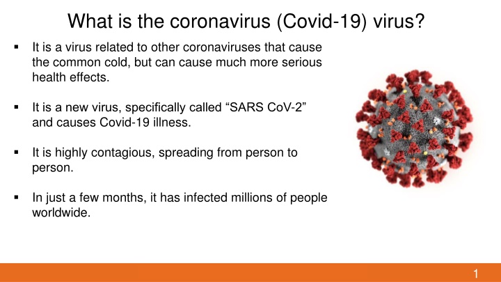 what is the coronavirus covid 19 virus