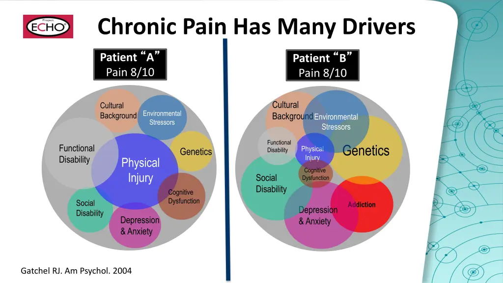 chronic pain has many drivers