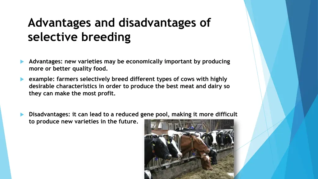 advantages and disadvantages of selective breeding