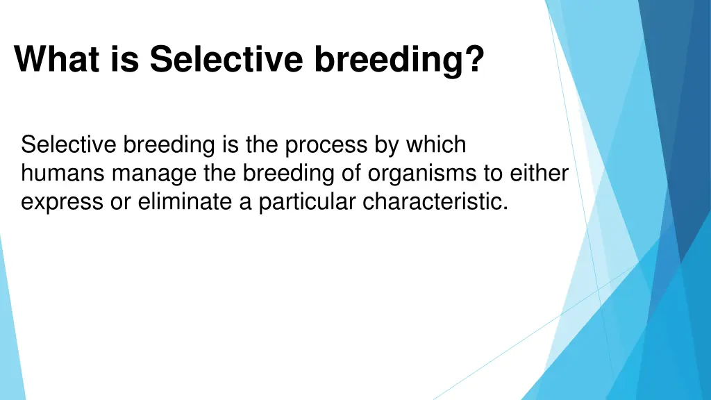 what is selective breeding