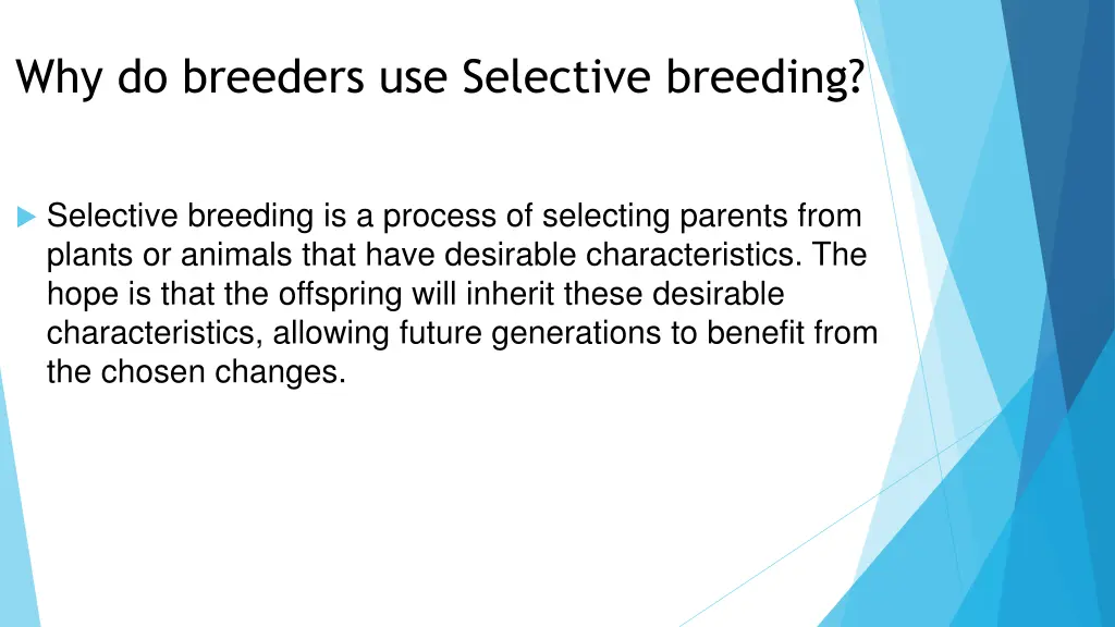 why do breeders use selective breeding