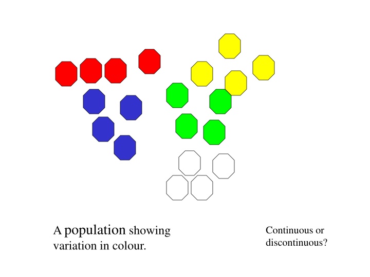 a population showing variation in colour