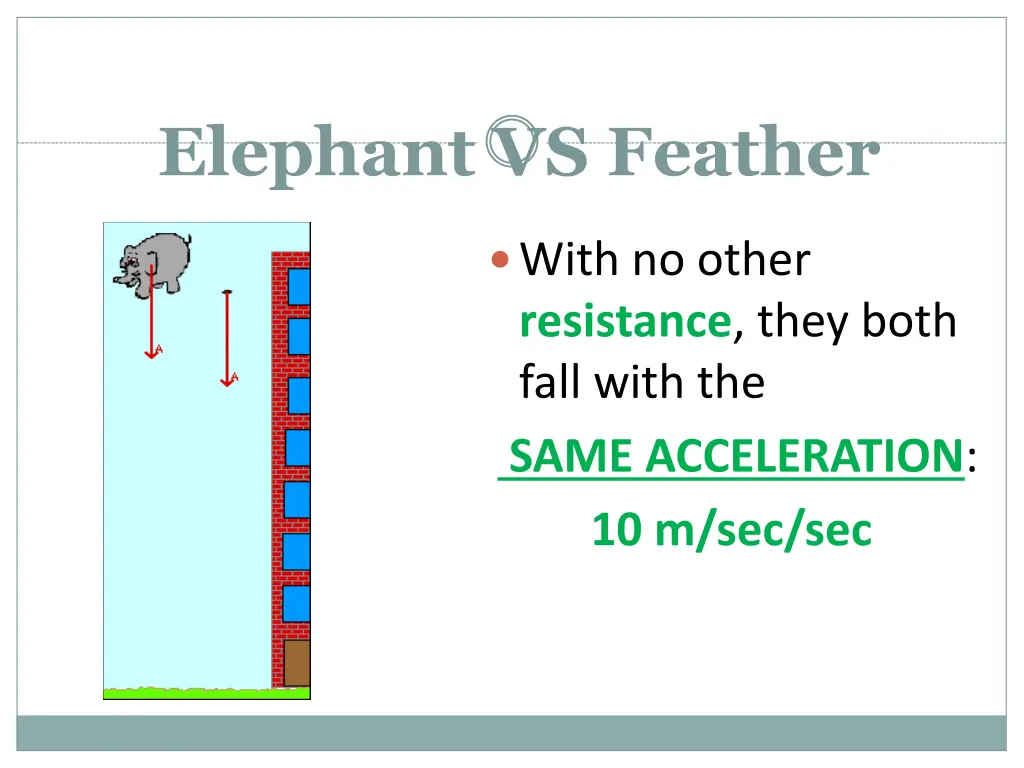 elephant vs feather