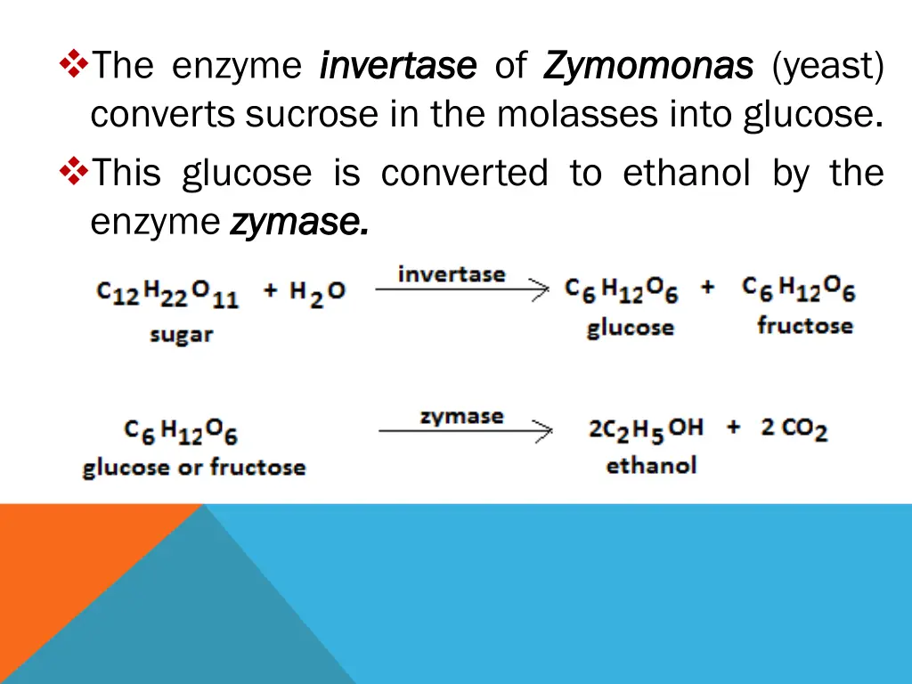 the enzyme invertase converts sucrose